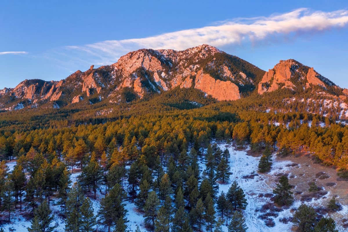 Boulder Party Bus Rental